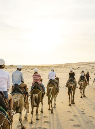 Sunset camel riding experience with in Anna Bay - Port Stephens